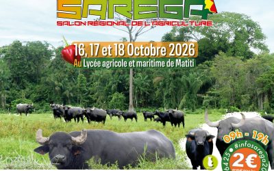 La race Brahman à l’honneur au SAREGA 2026